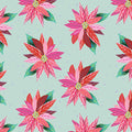 Painterly Poinsettia Light Turquoise Cotton 44"/45" Fabric Per Yard
