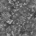 Iron Tree Bits 108" Wide Cotton Fabric Per Yard