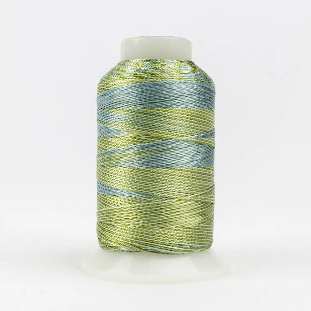 ACM01 - Accent™ 12wt Rayon Avocadoes Thread