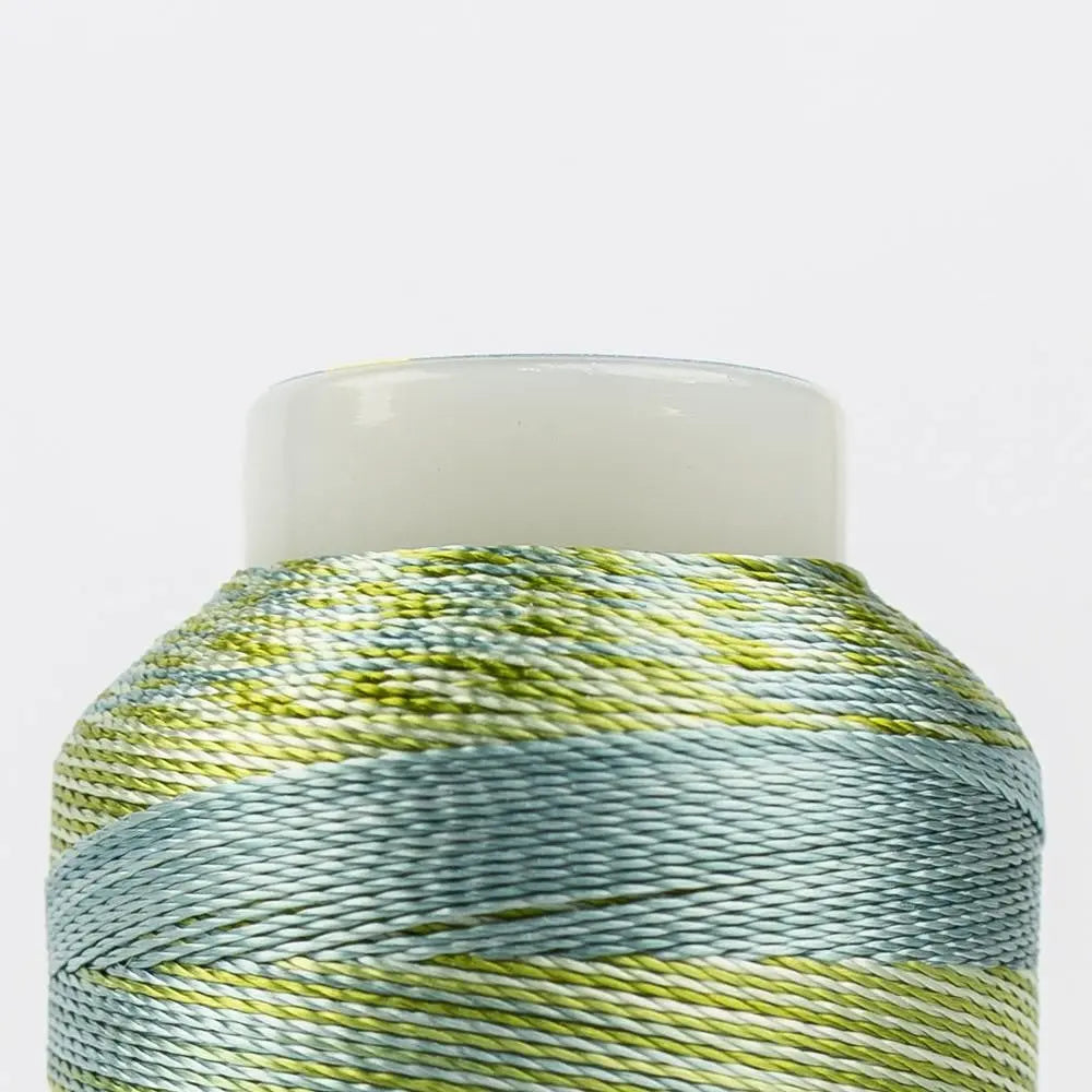 ACM01 - Accent™ 12wt Rayon Avocadoes Thread