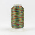 ACM24 - Accent™ 12wt Rayon Primary Colours Thread