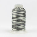 ACM28 - Accent™ 12wt Rayon Black Greys Thread