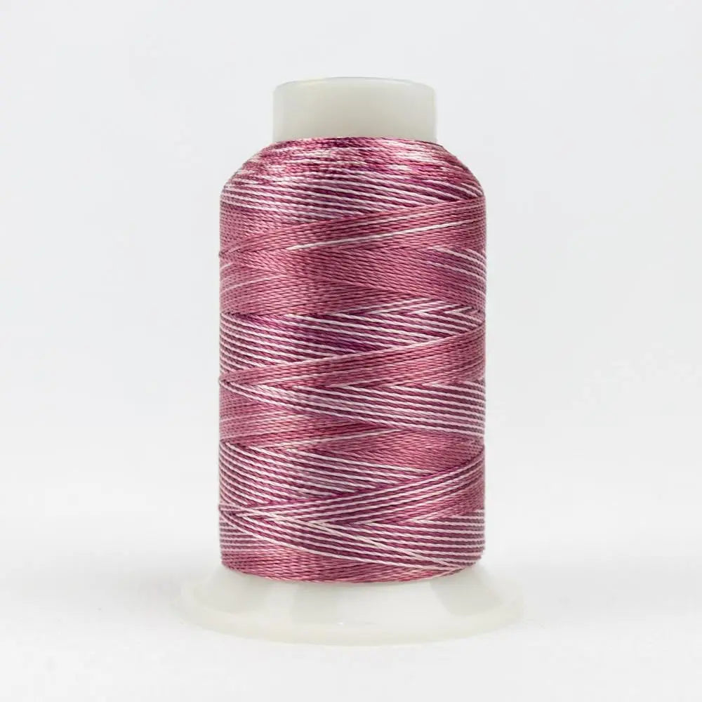 ACM35 - Accent™ 12wt Rayon Plums Pinks Thread