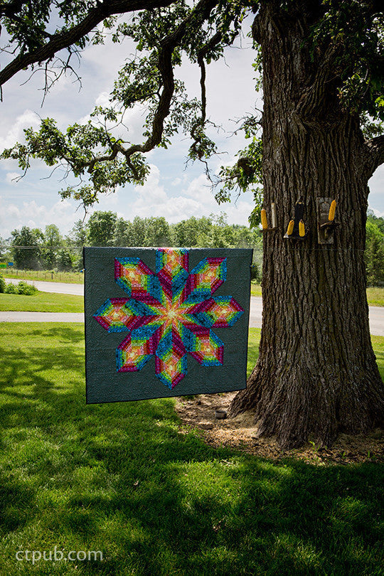 Amish-Inspired Quilts for Today's Home