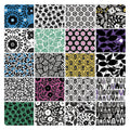 Black, White and Bloom 5x5 Pack Pre-cuts