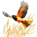 Baltimore Oriole Fabric Panel 14