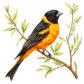 Baltimore Oriole Fabric Panel 18