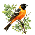 Baltimore Oriole Fabric Panel 6