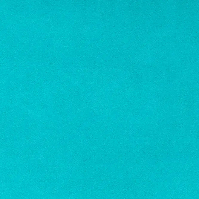 Belize Solid Cuddle 3 58/60" Fabric per yard