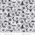 Black Daisies Scarlet's Treasure 44"/45" Cotton Fabric Per Yard