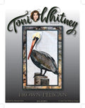 Brown Pelican
