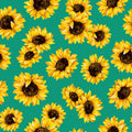Caribbean Sunflower Dance 45" wide Fabric per yard