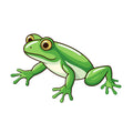 Cartoon Frogs Fabric Panel 21