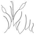 Cattail Digital E2E