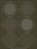Coaster Part 5 Hitome-Zashi Coaster Kit Slate