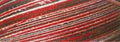 Cotton Quilting Thread 3-ply 40wt 3000yds Variegated Holiday