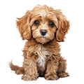 Cute Cavapoos Fabric Panel 11