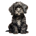 Cute Cavapoos Fabric Panel 12