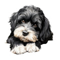 Cute Cavapoos Fabric Panel 13