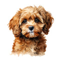 Cute Cavapoos Fabric Panel 24