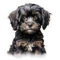Cute Cavapoos Fabric Panel 46