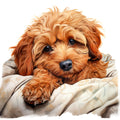 Cute Cavapoos Fabric Panel 67