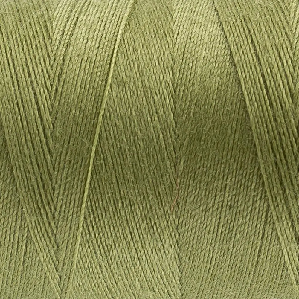 DS228 - Designer™ All purpose 40wt Polyester Wild Willow Thread