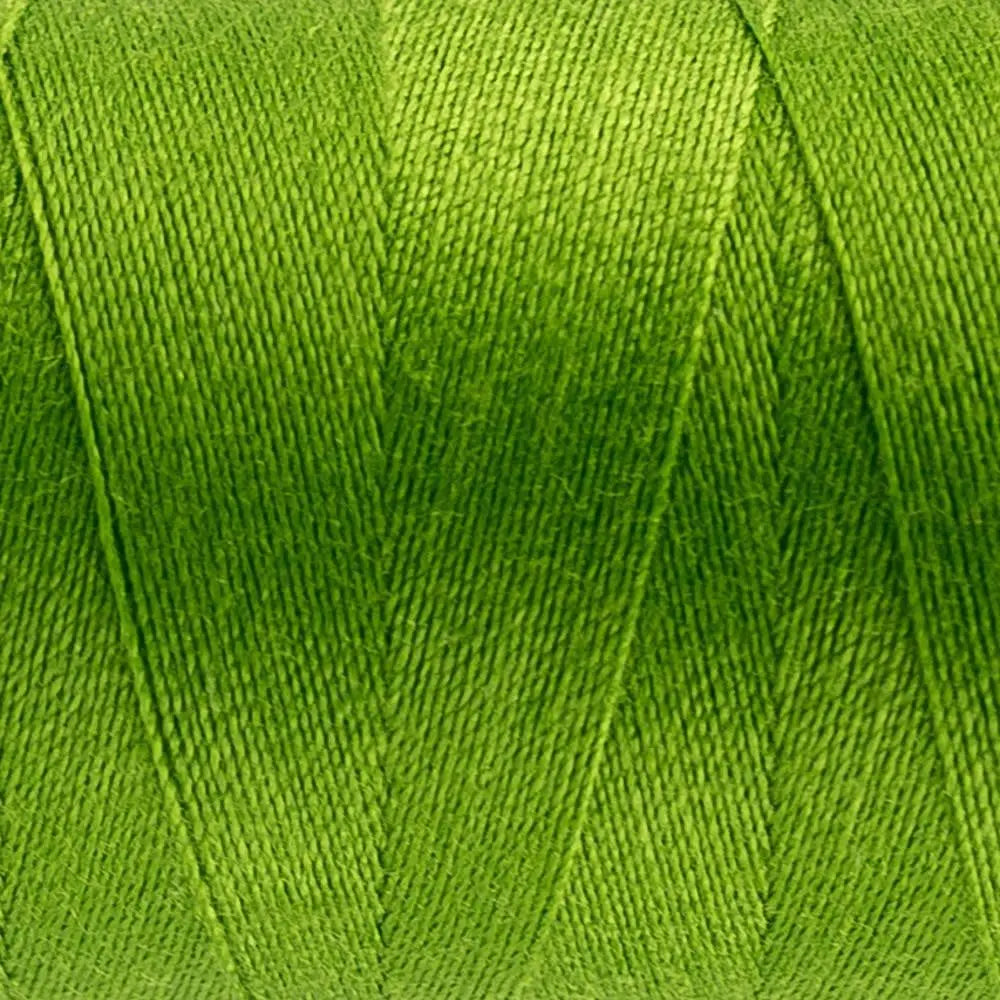 DS841 - Designer™ All purpose 40wt Polyester Spring Bud Thread