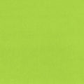 Dark Lime Solid Cuddle 3 58/60" Fabric per yard