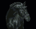 Diamond Dotz Black Sheen - 16.5" x 20.5"