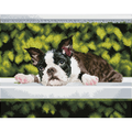 Diamond Dotz Boston Blues - 18.5" x 14.6"