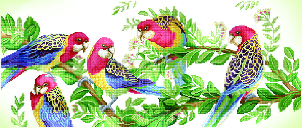 Diamond Dotz Eastern Rosella Gathering - 14.6" x 34.3"