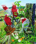 Diamond Dotz Galah Quartet - 18.5" x 22.4"