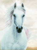 Diamond Dotz Imperial Stallion - 18.9" x 25.6"