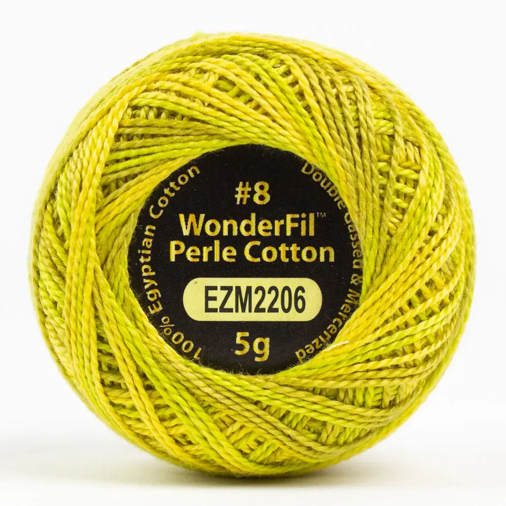 EL5GM-2206 - Lichen