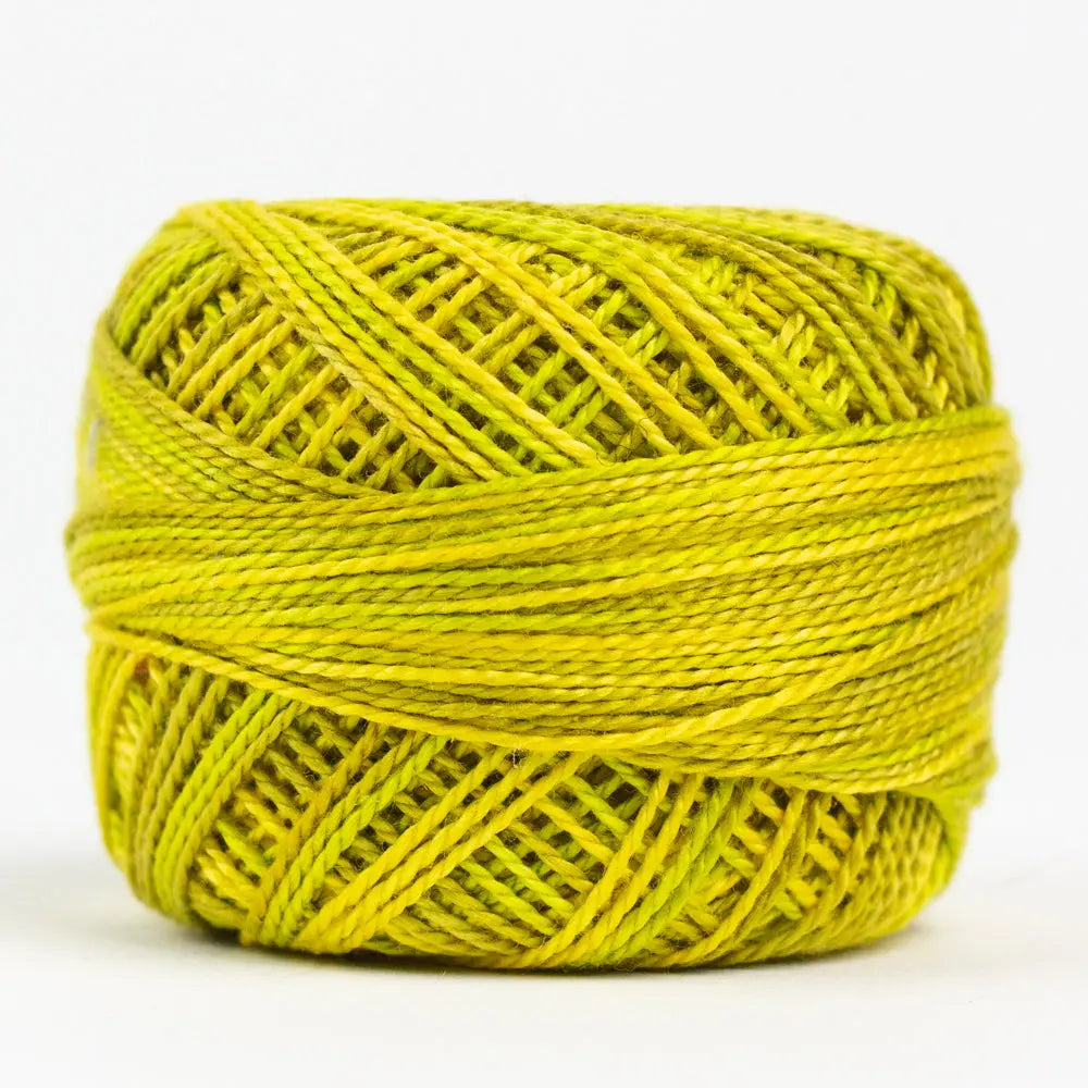 EL5GM-2206 - Lichen