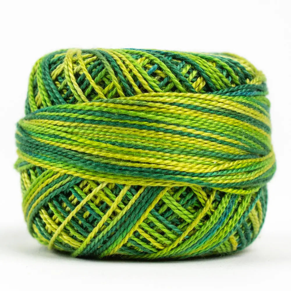 EL5GM-2207 - Turtle