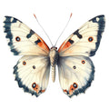 Ephemera Butterflies Fabric Panel 33