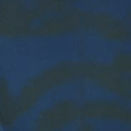 Every Day Prints - Leaf Garden - Black/Navy 44" / 45" Fabric Per Yard