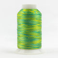 FB07 - Fabulux™ 40wt Trilobal Polyester Cabana Thread