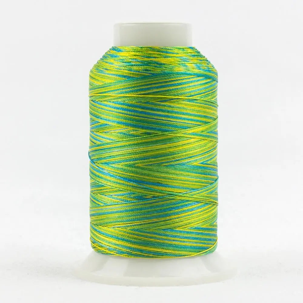 FB07 - Fabulux™ 40wt Trilobal Polyester Cabana Thread