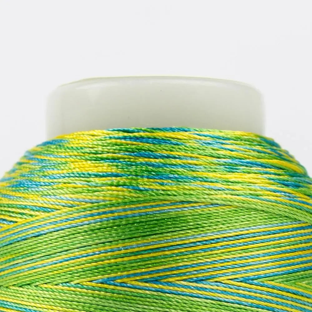 FB07 - Fabulux™ 40wt Trilobal Polyester Cabana Thread