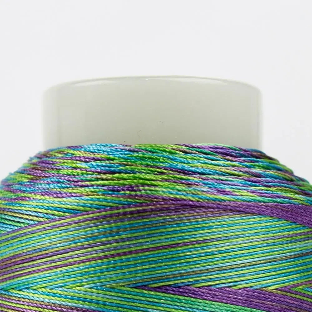 FB10- Fabulux™ 40wt Trilobal Polyester Aquarium Thread