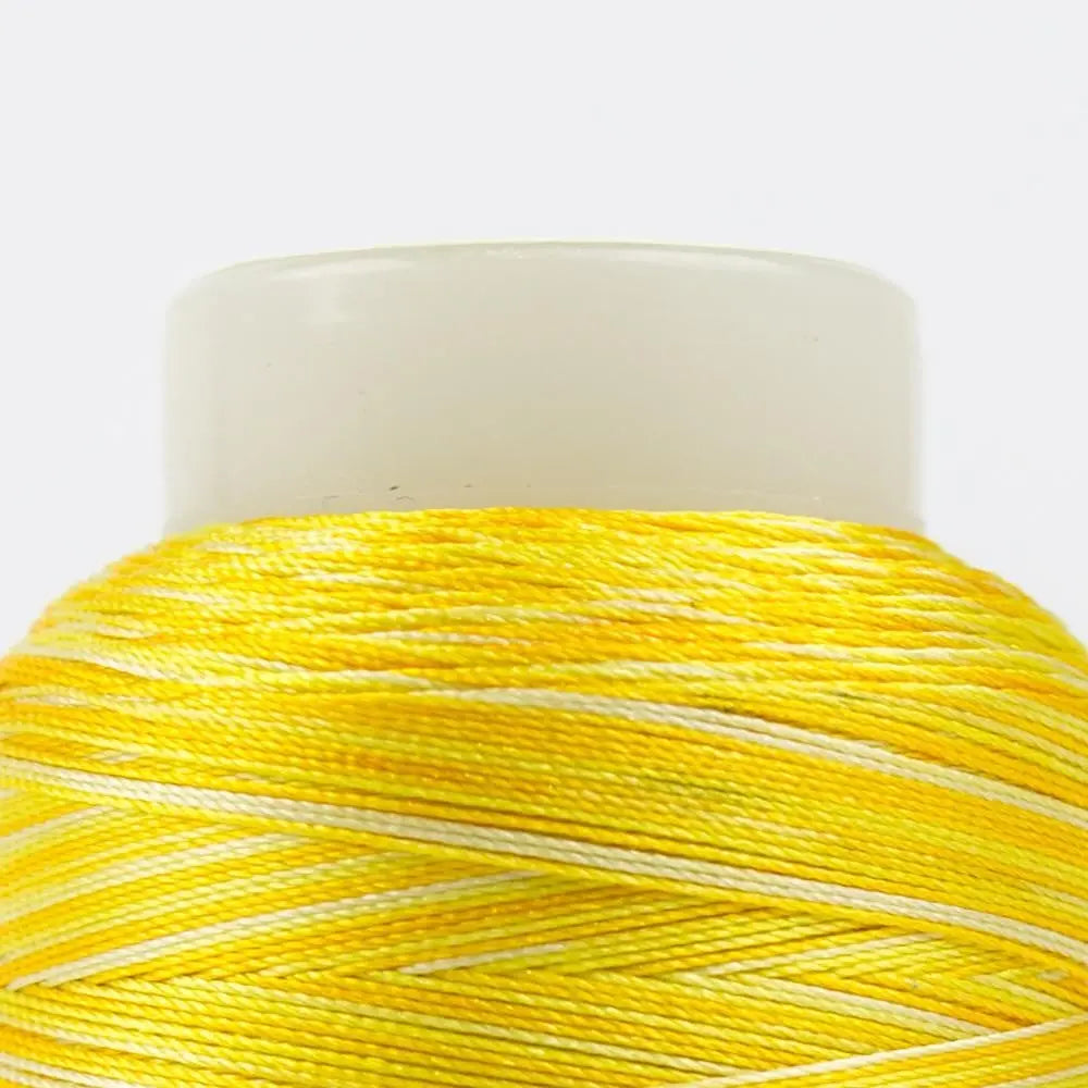 FB12 - FabuLux™ 40wt Trilobal Polyester Mellow Yellows Thread
