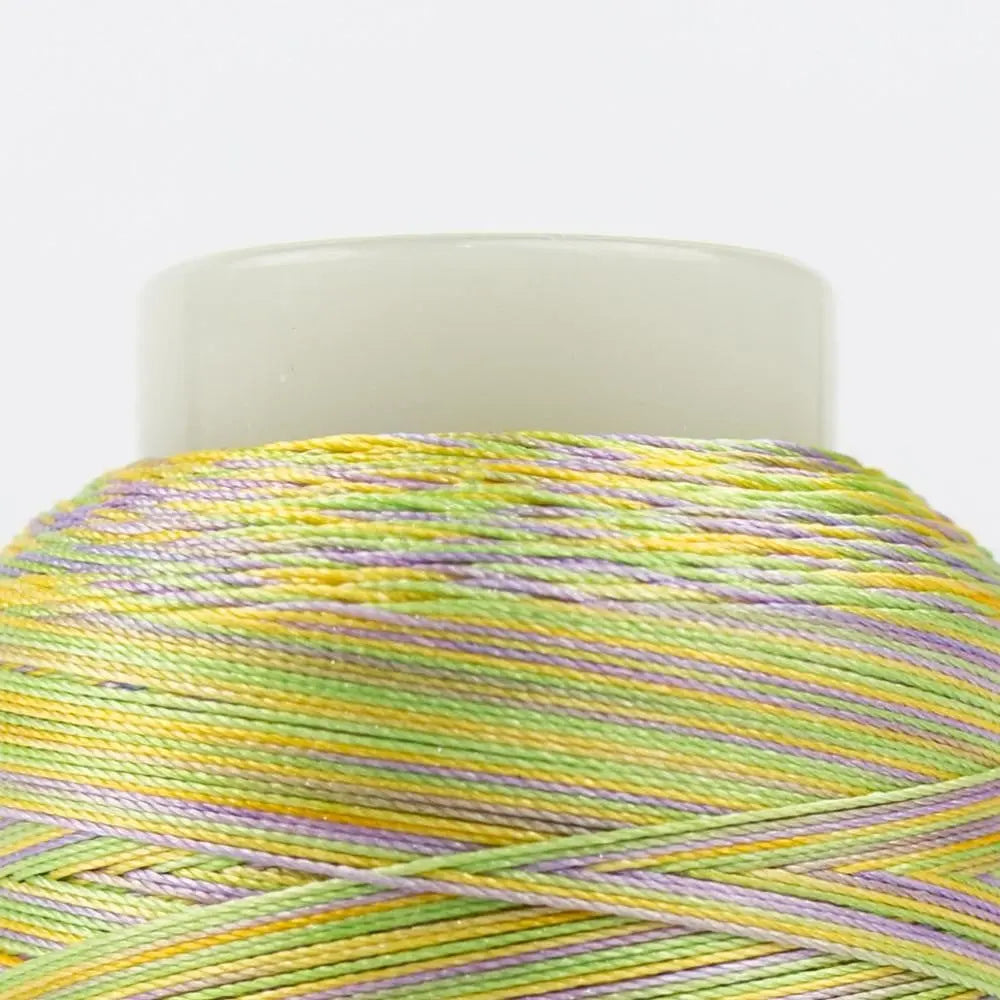 FB24 - FabuLux™ 40wt Trilobal Polyester Springtime Thread