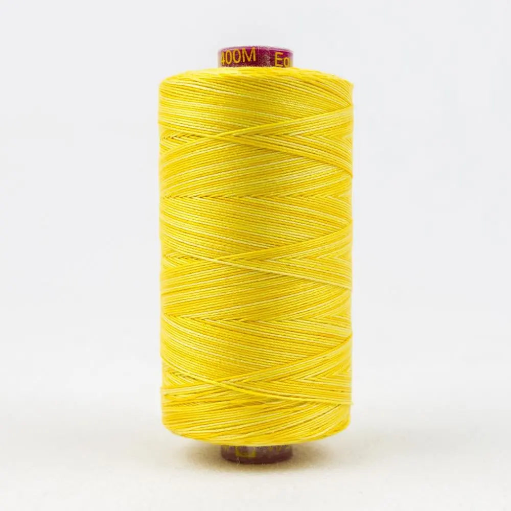 FT01 - Fruitti™ 12wt Egyptian Cotton Sunny Thread