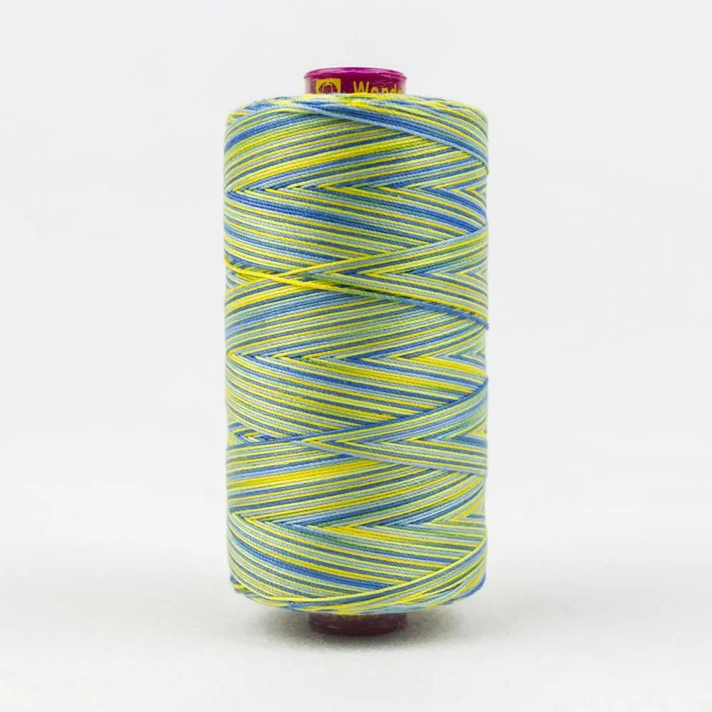 FT02 - Fruitti™ 12wt Egyptian Cotton Bright Day Thread