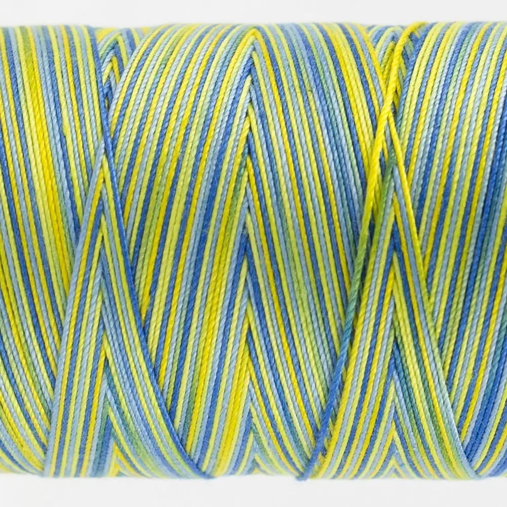 FT02 - Fruitti™ 12wt Egyptian Cotton Bright Day Thread