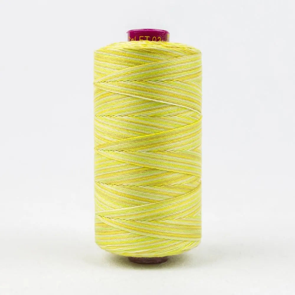 FT03 - Fruitti™ 12wt Egyptian Cotton Citrus Thread