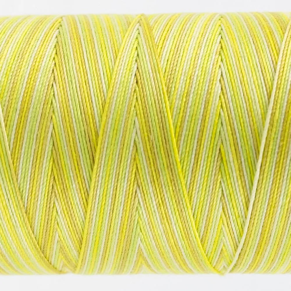 FT03 - Fruitti™ 12wt Egyptian Cotton Citrus Thread